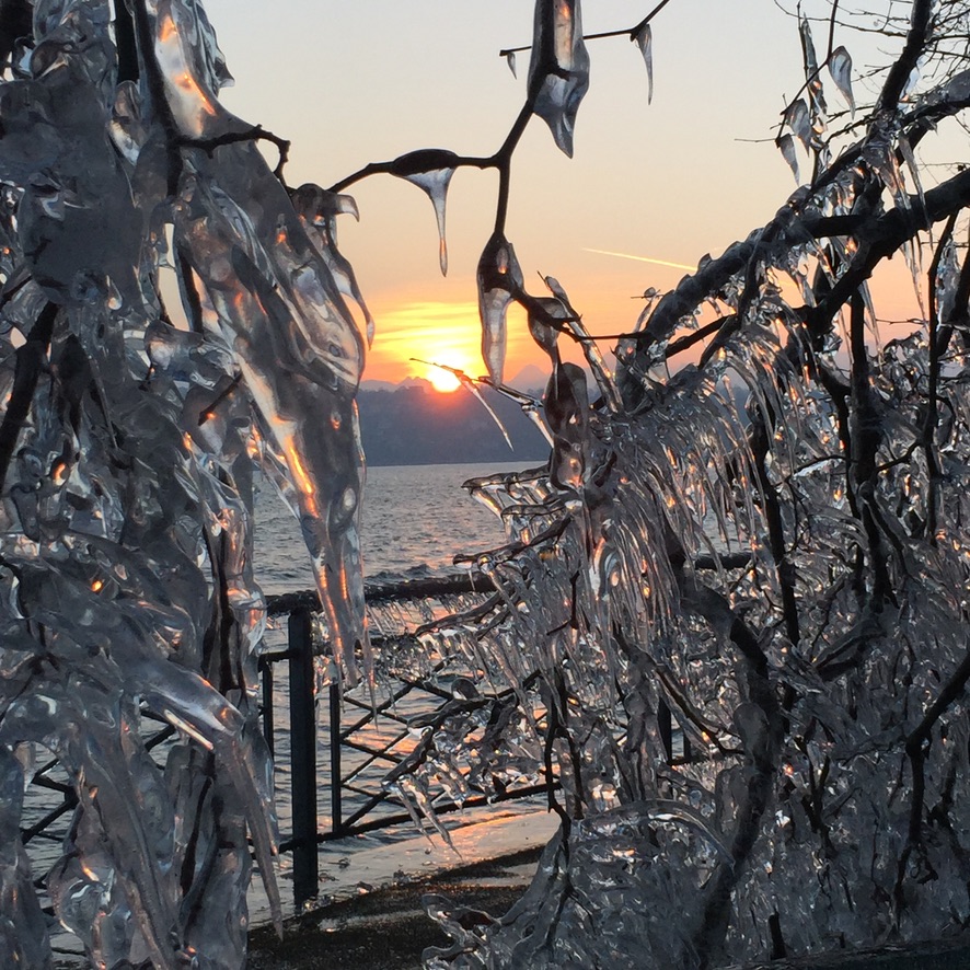 Frozen