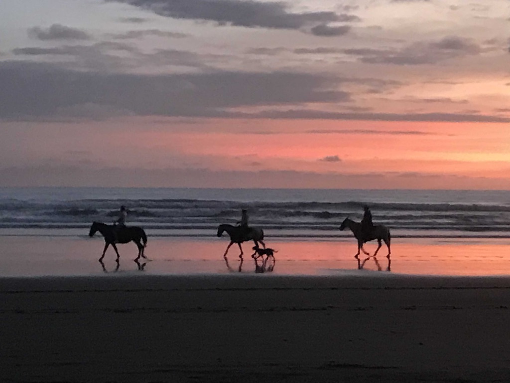 Riding into the sunset