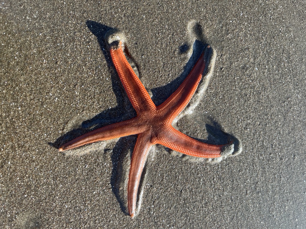 Such a star!