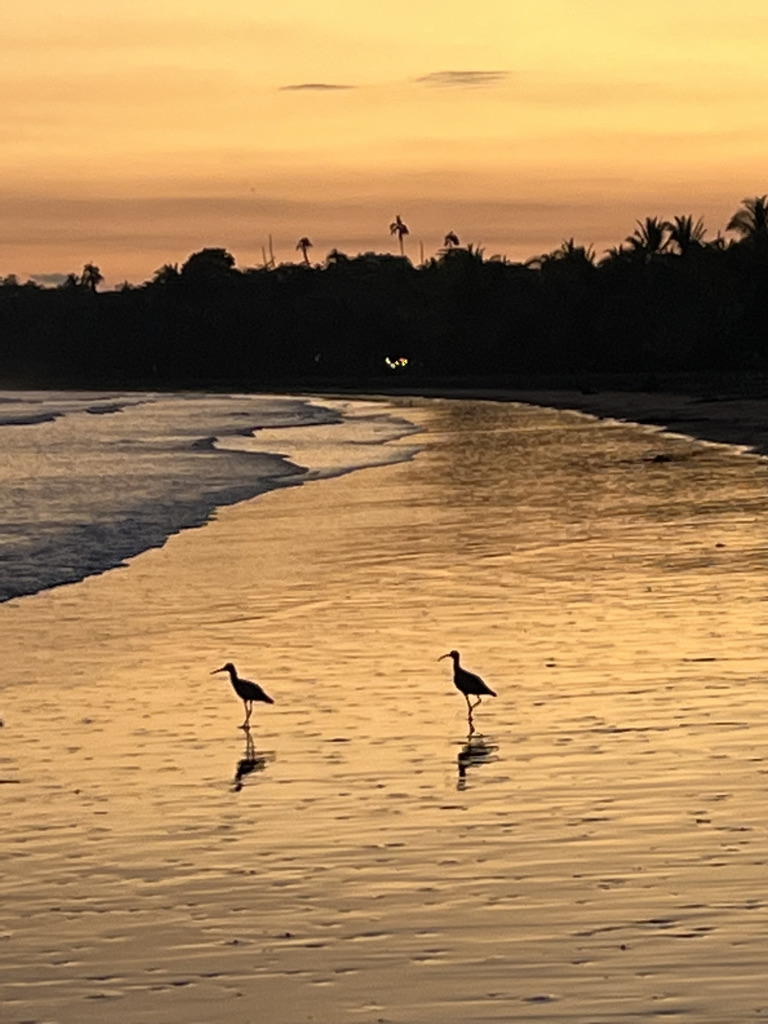 Tambor beach, Costa Rica
