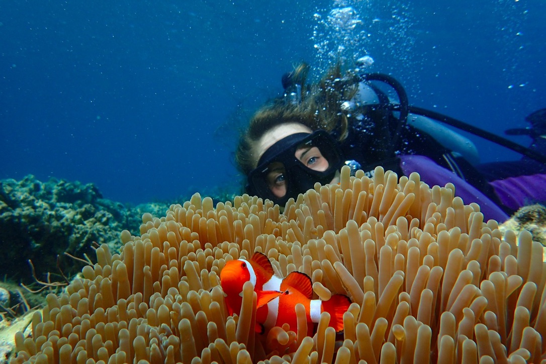 Underwater sneak peek